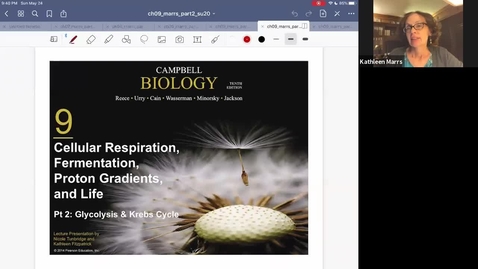 Thumbnail for K101_Ch9:Part2_GlycolysisKrebs