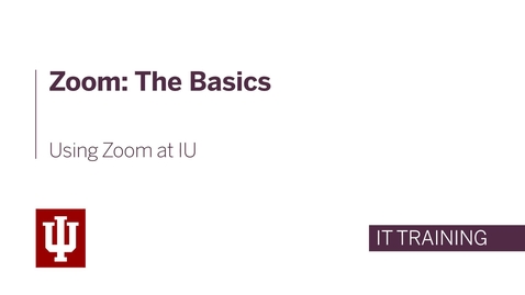 Thumbnail for Zoom: The Basics