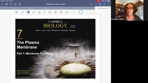 Thumbnail for K101_Ch7:Part1_MembraneDynamics