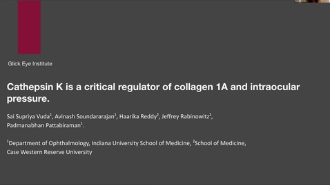 Thumbnail for entry Cathepsin K is a critical regulator of collagen 1A and intraocular pressure.