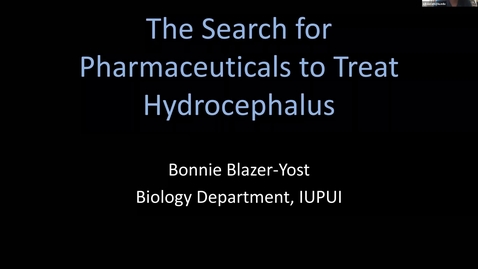 Thumbnail for SNRI Virtual Seminar Series  - Bonnie Blazer-Yost, PhD
