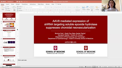 Thumbnail for AAV8 mediated expression of shRNA targeting soluble epoxide hydrolase suppresses choroidal neovascularization