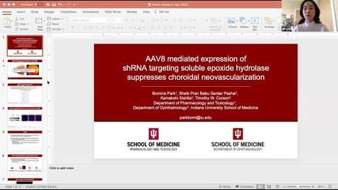 Thumbnail for entry AAV8 mediated expression of shRNA targeting soluble epoxide hydrolase suppresses choroidal neovascularization