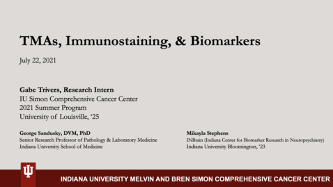 Thumbnail for Trivers, Gabe