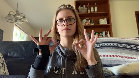 Thumbnail for Directions.MOV