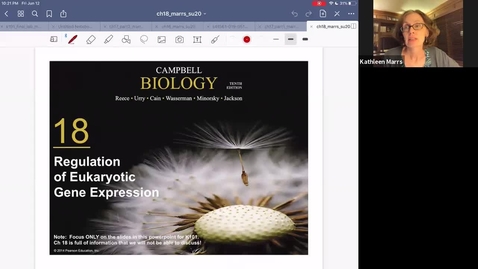 Thumbnail for K101_Ch18_GeneExpression