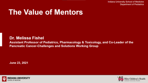 Thumbnail for The Value of Mentors