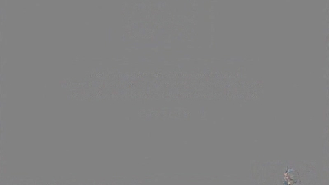 Thumbnail for Data Privacy Day: an info share about the importance of protecting our sensitive information