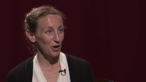 Thumbnail for CIBER Focus: &quot;Business and Institutions on the International Stage&quot; with Dr. Sarah Bauerle Danzman - September 1, 2017