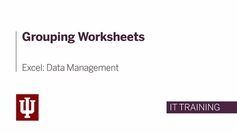 Thumbnail for Excel: Data Management - Grouping Worksheets