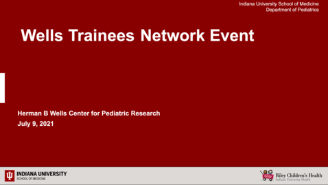 Thumbnail for Wells Trainees Network Event