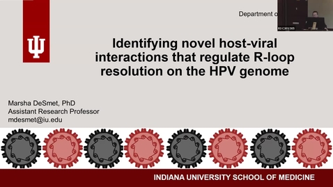 Thumbnail for IUSCCC Seminar 12/19/2024: ”Identifying novel host-viral interactions that regulate R-loop resolution on the HPV genome” Marsha DeSmet, PhD Assistant Research Professor of Dermatology, IU School of Medicine
