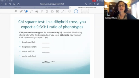 Thumbnail for K101_Ch14:Part7_ChiSquareTutorial