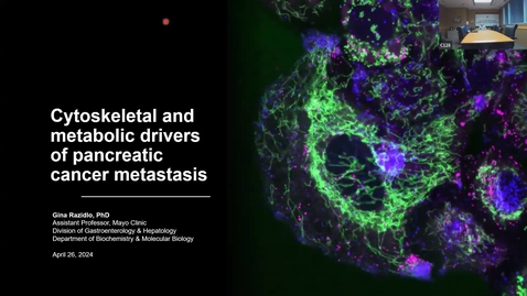 Thumbnail for IUSCCC Grand Rounds 4/26/2024: “Cytoskeletal and Metabolic Drivers of Pancreatic 
Cancer Metastasis” Gina Razidlo, Ph.D, Assistant Professor of Biochemistry &amp; Molecular Biology, Mayo Clinic College of Medicine
