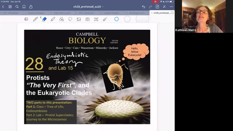 Thumbnail for K101_Ch28_Part1a_EndosymbioticTheory