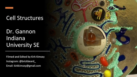 Thumbnail for Cell Structures