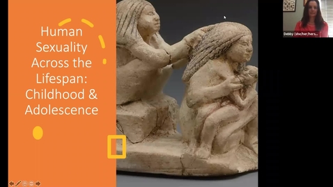 Thumbnail for Lifespan Sexuality: Childhood and Early Adolescence