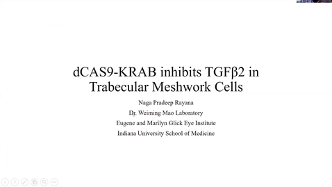 Thumbnail for entry dCAS9-KRAB inhibits TGFβ2 in trabecular meshwork cells