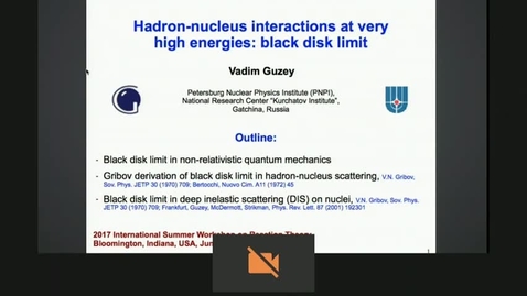 Thumbnail for entry Hadron-nucleus interactions at very high energies: black disk limit by Vadim