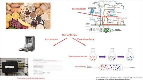 Thumbnail for Using an automated flow approach to synthesize glycosylated amino acids