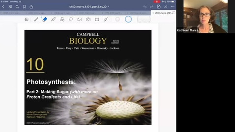 Thumbnail for K101_Ch10:Part2_Photosynthesis