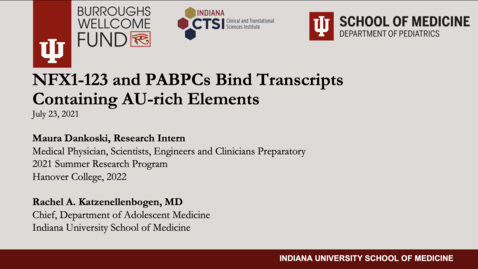 Thumbnail for Dankoski, Maura