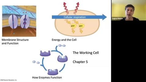 Thumbnail for Clip of BIOL-L100 Origin of Life on Earth- The first cell