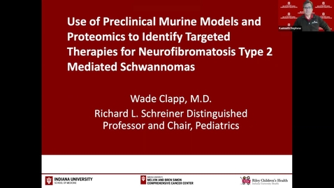 Thumbnail for IUSCCC Seminar Grand Rounds 2/18/2022: “Use of Preclinical Murine Models and Proteomics to Identify Targeted Therapies for Neurofibromatosis Type 2 Mediated Schwannomas” Wade Clapp, MD
Richard L. Schreiner Distinguished Professor and Chair, Pediatrics 
