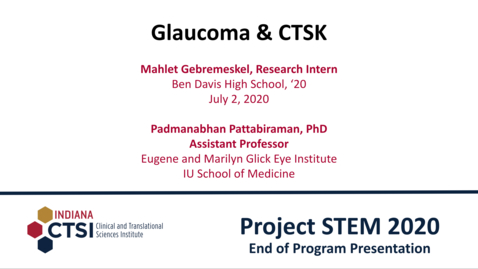 Thumbnail for Mahlet Gebremeskel Mentor Presentation