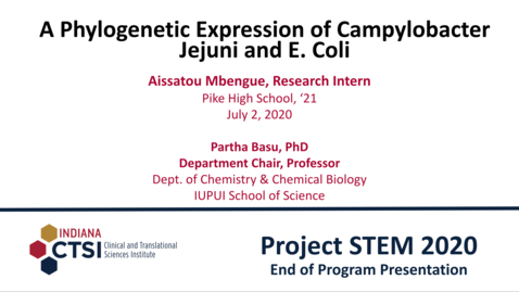 Thumbnail for Aissatou Mbengue Mentor Presentation