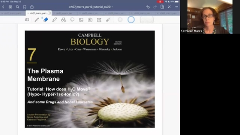 Thumbnail for K101_Ch7:Part2_OsmosisTutorial