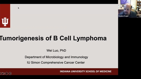 Thumbnail for IUSCCC Seminar Series 1/26/2023: “ Tumorigenesis of B cell lymphoma” Wei Luo, PhD Assistant Professor of Microbiology &amp; Immunology, IU School of Medicine
