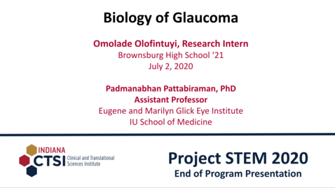 Thumbnail for Omolade Olofintuyi Mentor Presentation