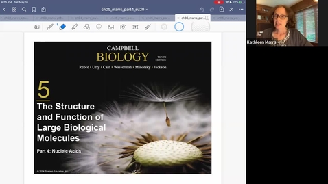 Thumbnail for K101_Ch5:Part4_NucleicAcids