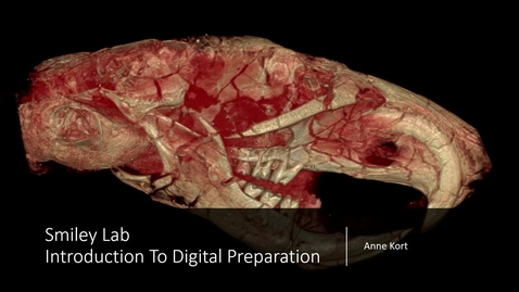 Thumbnail for Video 1 - Introduction to Digital Preparation