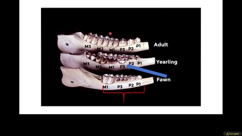 Thumbnail for Week 6 - September 30th 2020, 9:39:01 pm