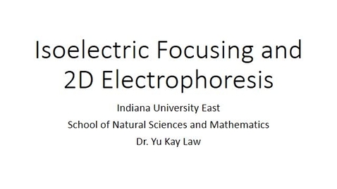 Thumbnail for entry Isoelectric Focusing and 2D-Electrophoresis