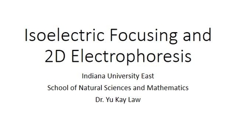 Thumbnail for Isoelectric Focusing and 2D-Electrophoresis