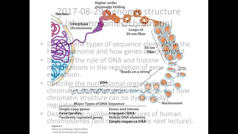 Thumbnail for IUSM WL - MCT - Genomic function 2 - 170829 - Fai