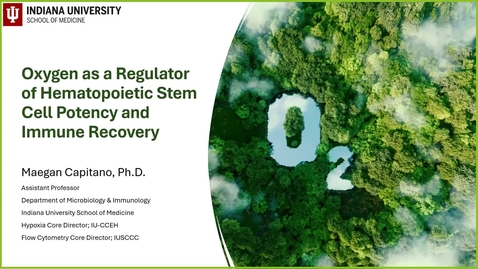 Thumbnail for IUSCCC Seminars 12/18/2025: “Oxygen as a Regulator of Hematopoietic Stem Cell Potency and Immune Recovery” Maegan Capitano, Ph.D.                                               Assistant Professor of Microbiology &amp; Immunology IU School of Medicine