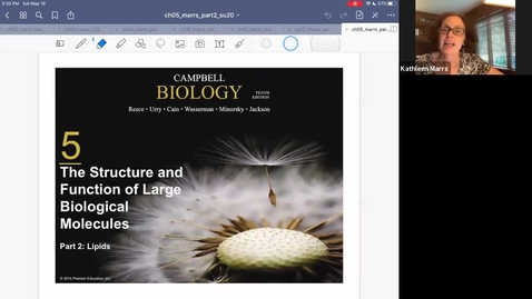 Thumbnail for K101_Ch5:Part2_Lipids