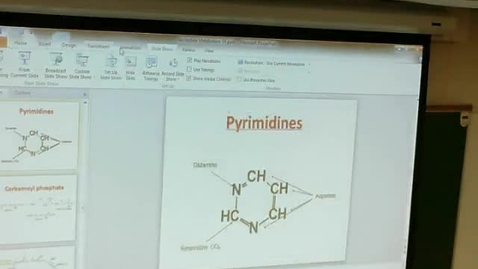 Thumbnail for entry Nucleotide Metabolism-2