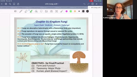 Thumbnail for K101_Ch31_Fungi