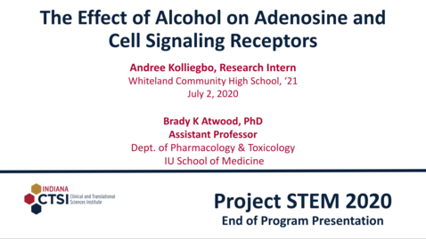 Thumbnail for Andree Kolliegbo Mentor Presentation