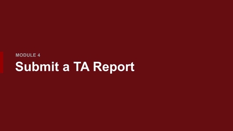 Thumbnail for Video 12 - TA Report Header