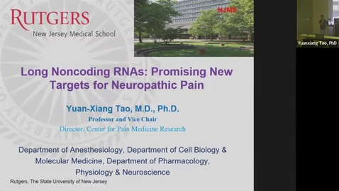 Thumbnail for SNRI Seminar Series: Yuanxiang Tao, PhD, August 29, 2024
