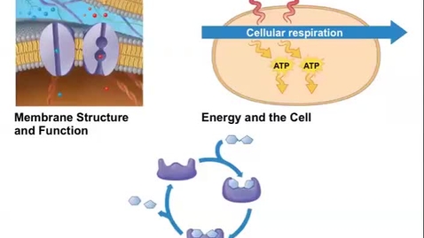 Thumbnail for BIOL-L100  Energy and ATP