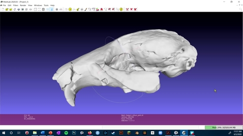 Thumbnail for Video 3 - Overview of 3D Data Types