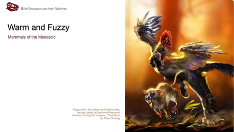 Thumbnail for entry Lecture 19 (Nov 4) - Warm and Fuzzy, the Mammals of the Mesozoic