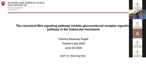 Thumbnail for The canonical Wnt signaling pathway inhibits glucocorticoid receptor signaling pathway in the trabecular meshwork